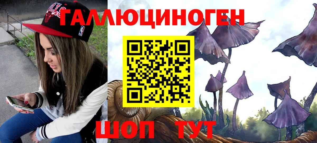Галлюциногенные грибы Psilocybe  Вход с VPN  Сертолово 